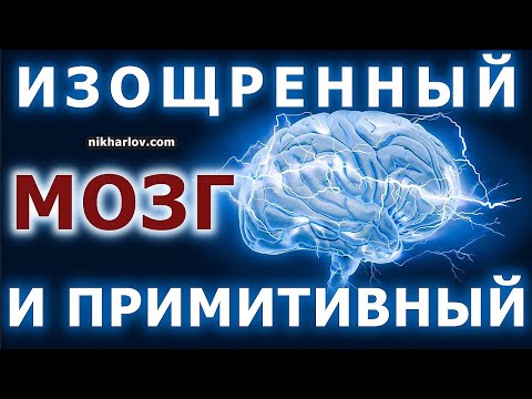 Видео: Триединый мозг: рептильный, лимбический, неокортекс. Как строение мозга определяет виды поведения.