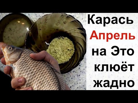 Видео: В Апреле вся рыба клюёт на Это! Супер рыболовная насадка для карася весной