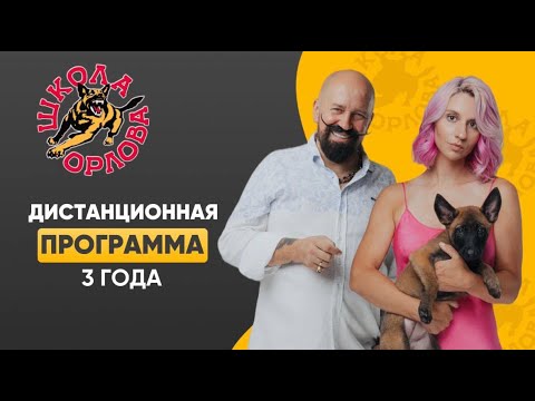 Видео: Три года Дистанционной Программе «Школы Орлова»! 🐶
