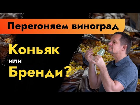 Видео: Перегоняем виноград | Коньяк или бренди? | Виноградный дистиллят от браги до бочки