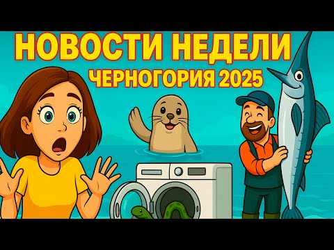 Видео: Змея в стиралке и тюлень-монах: самые дикие новости Черногории за неделю