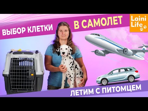 Видео: Клетка для перелета и не только. Как выбрать?