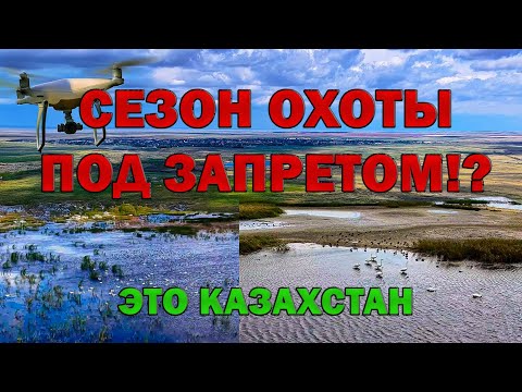 Видео: Дикий август: озёра и реки Казахстана с птичьей высоты!