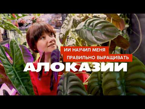 Видео: Я попросила НЕЙРОСЕТЬ написать инструкцию «АЛОКАЗИИ: уход и содержание», и вот что получилось