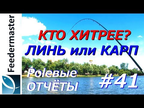 Видео: Как поймать линя на фидер, особенности ловли если в водоёме много карпа