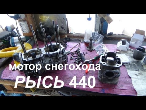 Видео: ремонт мотора от снегохода Рысь 440