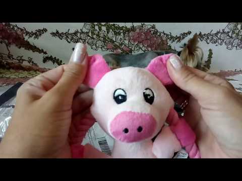 Видео: Распаковка посылок из Китая с AliExpress для йоркширского терьера