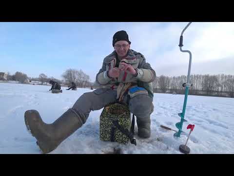 Видео: Мормышка. Чемпионат Тамбовской области