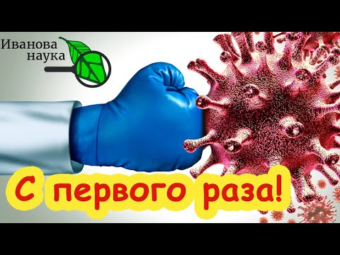 Видео: НИКОГО НЕ СЛУШАЙТЕ, А ЗАВЕДИТЕ СЕБЕ ДОМА ЭТОГО "ЗВЕРЯ" ! И забудете о болезнях.