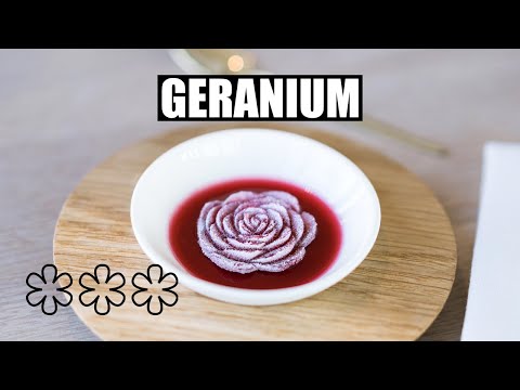 Видео: Geranium — лучший ресторан мира 2022 года! Копенгаген остаётся на первом месте в списке 50 лучших...