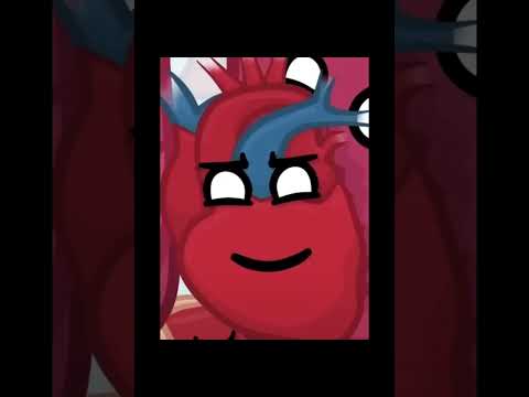 Видео: Что скрывает наше тело?