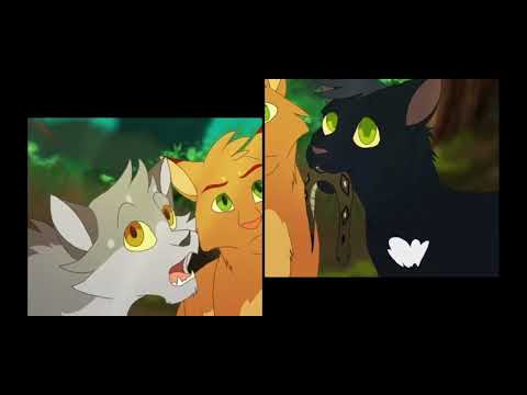 Видео: коты воители Огнезвёзд песня Believer