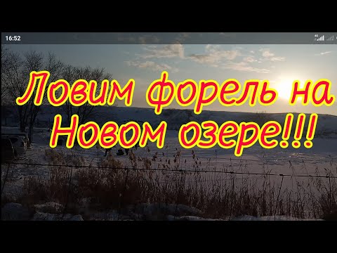 Видео: Рыбалка близ Алматы. Озеро Новое. Ловим форель.