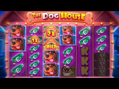 Видео: РИСКОВАННАЯ ИГРА В THE DOG HOUSE MEGAWAYS! СЛОВИЛ ПО 1000Р / ЗАНОСЫ