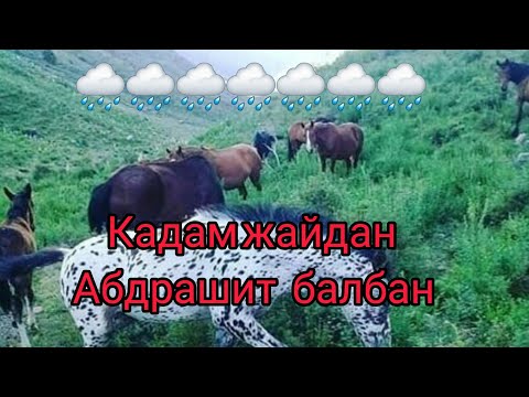 Видео: КАДАМЖАЙ АБДРАШИТ БАЛБАН