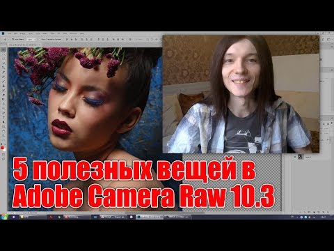 Видео: 5 полезных вещей в Adobe Camera Raw 10.3 - Стив Ласмин
