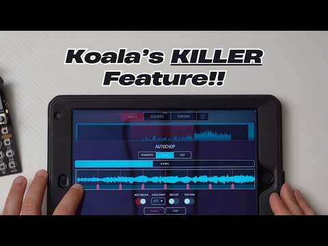 Видео: Как сэмплировать ЧТО УГОДНО в Koala Sampler!
