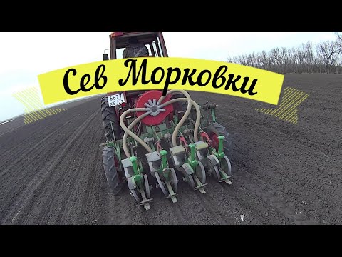 Видео: Морковь в Полях От А до Я!