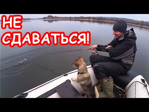 Видео: Важна ли приманка? Зимняя рыбалка на спиннинг. Ловля окуня зимой