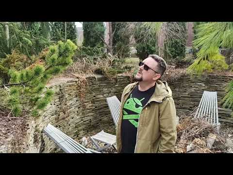 Видео: Сад Александра и Татьяны Высоконовых. Видеоэкскурсию проводит Александр. Апрель 2024.