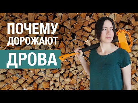 Видео: Как связаны лесные законы и цены на дрова