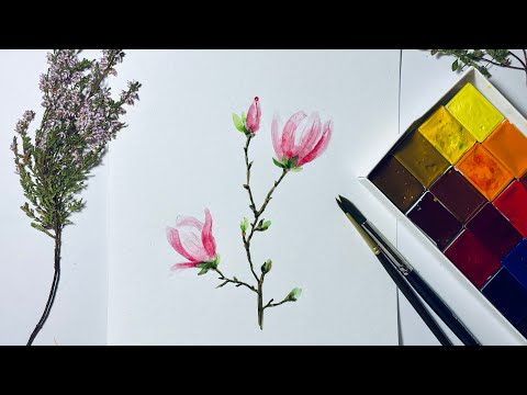 Видео: Акварель для начинающих. Как нарисовать Магнолию