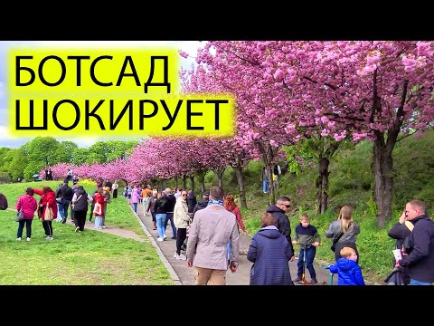 Видео: 🌴КИЕВ 22.04.24 | БОТСАД И ТОЛПЫ ЛЮДЕЙ