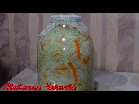 Видео: Капуста Квашеная Быстрого Приготовления.Очень Вкусная! /Sauerkraut