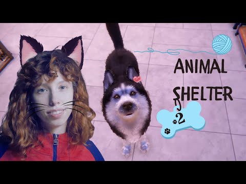 Видео: Обустраиваю приют || Animal Shelter 2