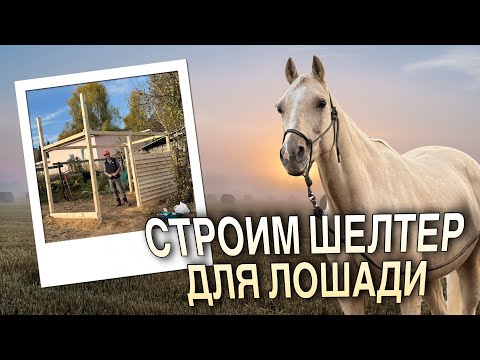 Видео: Левадный вопрос 2.0 | Строим ШЕЛТЕР