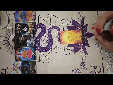 Видео: Затишие 😴 Вашият Човек мълчи 🤐 Какво да очаквате от него в близко бъдеще 💫