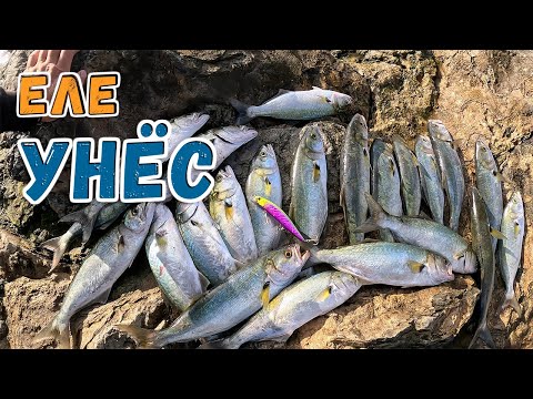 Видео: МЕЧТА А НЕ РЫБАЛКА! | Рыбалка на ЛУФАРЯ в Греции.