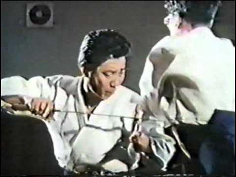 Видео: История Хонтай Йошин Рю Дзю-Дзюцу, Бушинкан