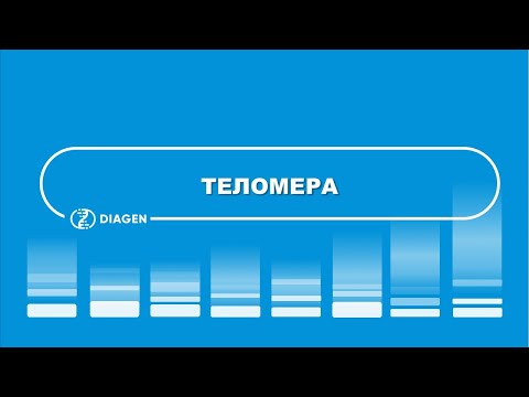 Видео: Теломерная биология. Александр Коляда.