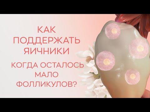 Видео: 🩺​ Как поддержать яичники, когда осталось мало фолликулов?