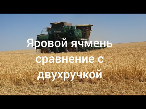 Видео: Уборка канадского ярового ячменя  Стоук. Уборка 2022