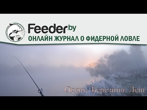 Видео: Видеоотчет - Осень. Березина. Лещ!