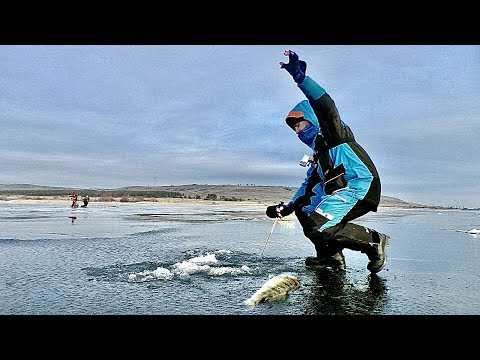 Видео: ОСТАВИЛ ЖЕРЛИЦЫ РАДИ СУДАКА!!! И не ЗРЯ!!! Зимняя рыбалка.  Ловля судака. Рыбалка зимой.