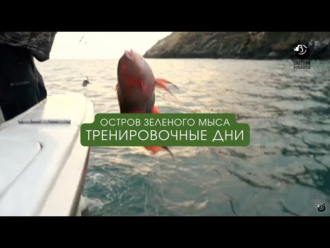 Видео: Тренировочные дни / Остров зеленого мыса / Выпуск 6