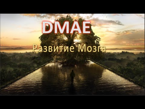 Видео: DMAE(ДМАЭ), Развитие Мозга!