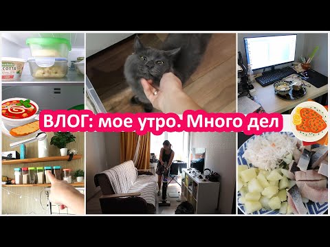 Видео: ВЛОГ: Много дел - фриланс. Мое утро. Влог с Мурзиком