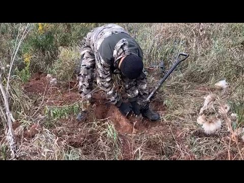 Видео: 16 октября 2024 г. Копаю железяки и цветной металл .