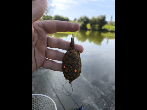 Видео: Ловля FreeStyle Method Feeder. Епізод №"5. Ловля карпа +35С. Ловля в точках. Сипуха/Pellets