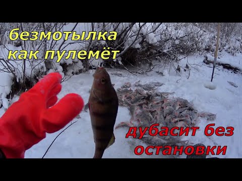 Видео: Дикая раздача окуня. Это лучшая безмотылка. Столько я ещё не ловил.