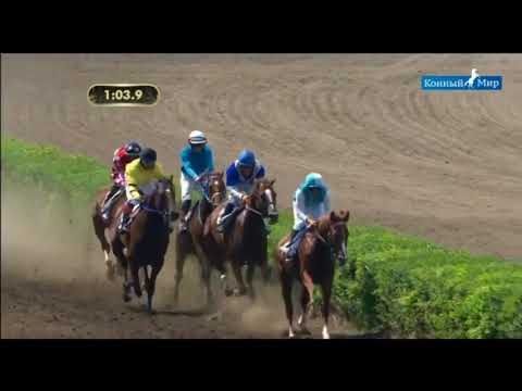 Видео: Ростовский ипподром 5.08.2018г Приз Министерства С\Х РФ - Асуп