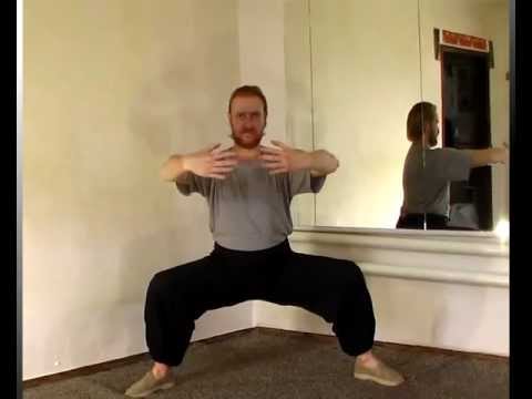 Видео: Столб (чжань чжуан) тайцзицюань Ветер-Гром