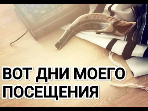 Видео: ПРАЗДНИК ТРУБ  - ВОТ ДНИ МОЕГО ПОСЕЩЕНИЯ - Рут Эстер Фурман