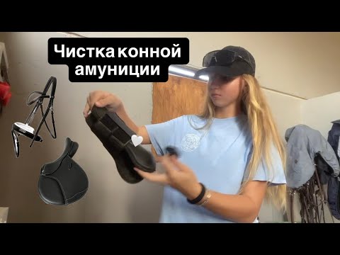Видео: обзор и чистка конной амуниции