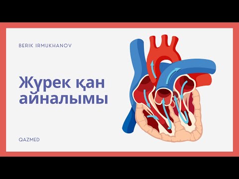 Видео: Жүрек қан айналымы