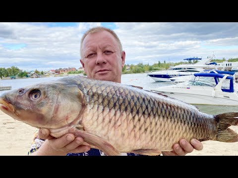 Видео: ЭТО МОЯ САМАЯ ВКУСНАЯ РЫБА ЖАРЕНЫЙ КАРАСЬ , РЫБАЛКА И РЕЦЕПТ #рыба #рецепт #деревня